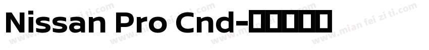 Nissan Pro Cnd字体转换